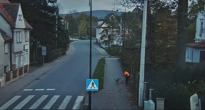 fot. Straż Miejska w Bogatyni/screen