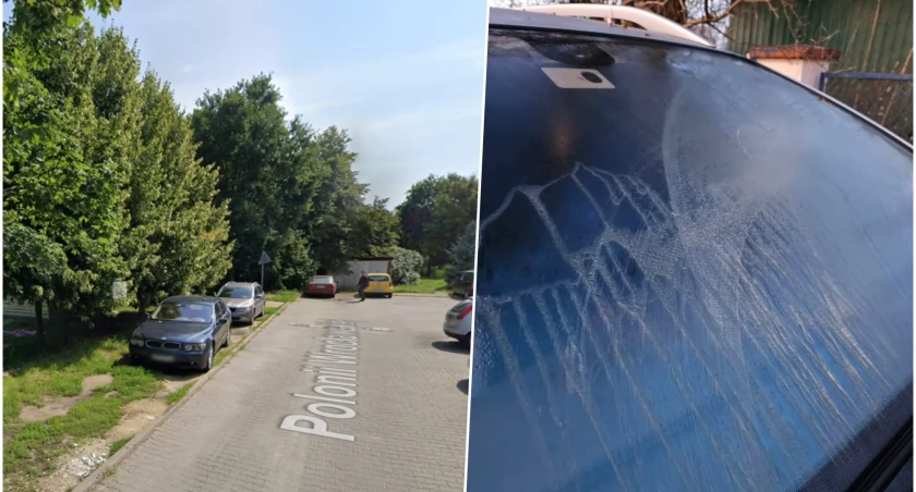 fot. Google Maps/Katarzyna