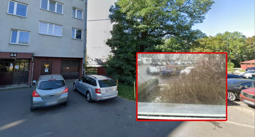 fot. Elżbieta 