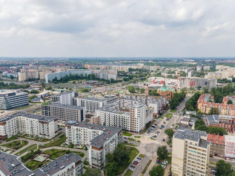 fot. Maciej Lulko/AP Szczepaniak