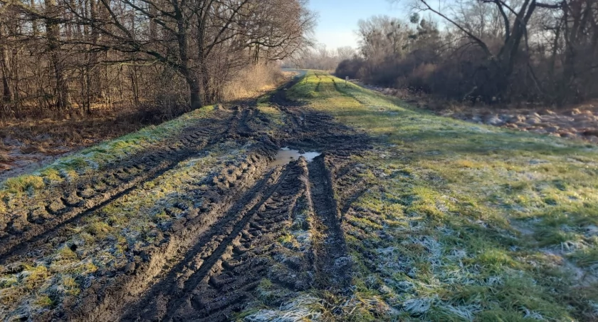 Tak wyglądają wały nad Odrą w powiecie oławskim | fot. Wody Polskie