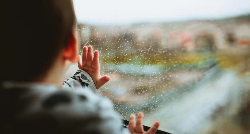 fot. Pexels/zdjęcie ilustracyjne 