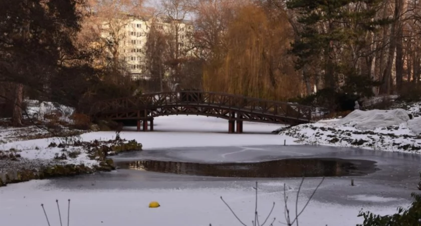fot. Klaudia Sabok 