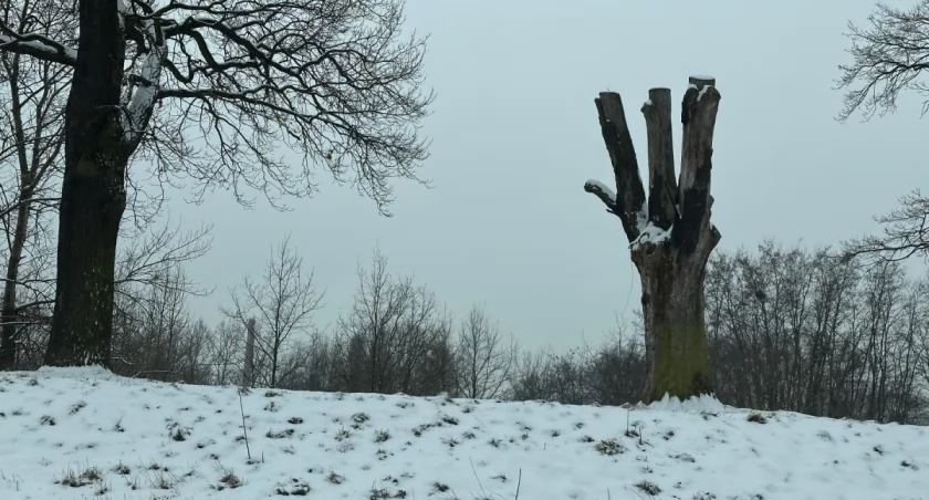 fot. Jakub Jurek