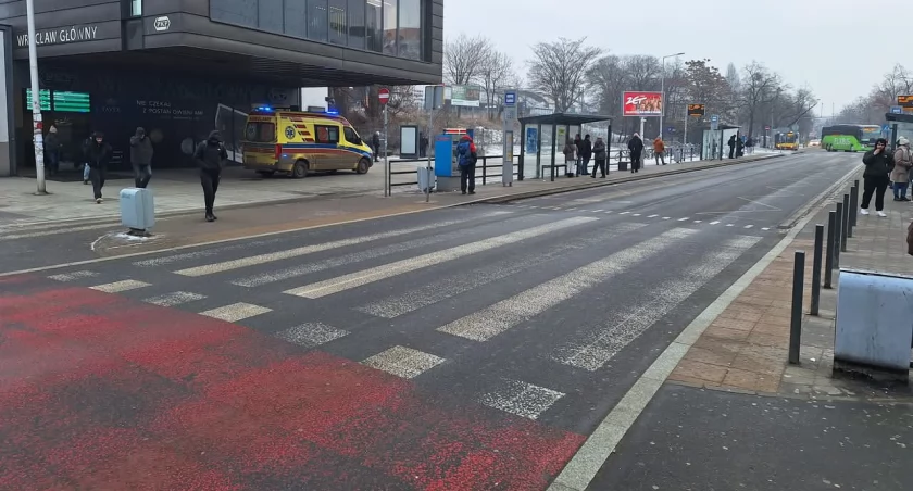 fot. UM Wrocław