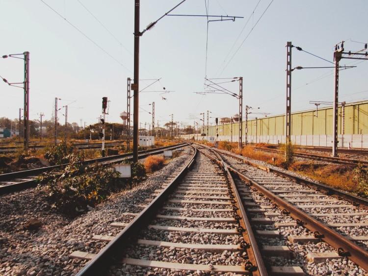 fot. pexels