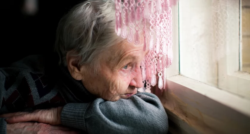 Absolutny lider to okolice ulicy Balonowej. Tu seniorzy stanowią 33,9% mieszkańców. W czołówce są też bloki przy Rogowskiej oraz okolice ulicy Kazimierskiej. Szczegółowe dane z całego miasta znajdziecie w naszej galerii.