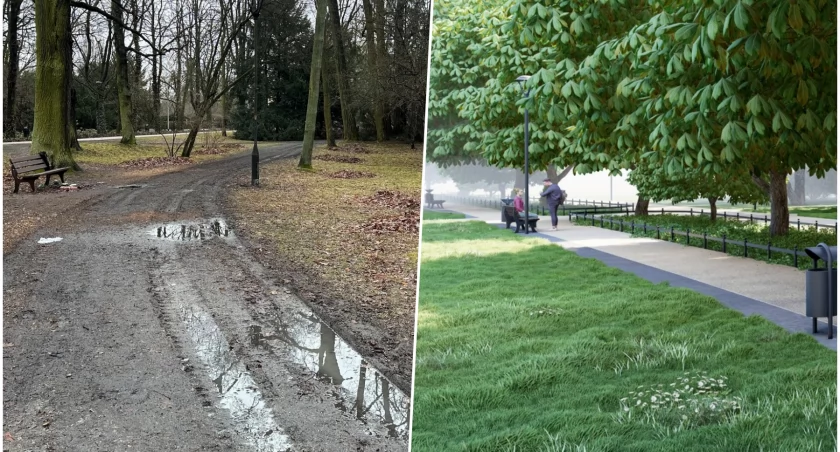 fot. Zarząd Zieleni Miejskiej 