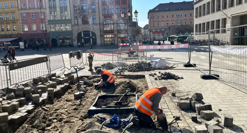 fot. Zarząd Zieleni Miejskiej  
