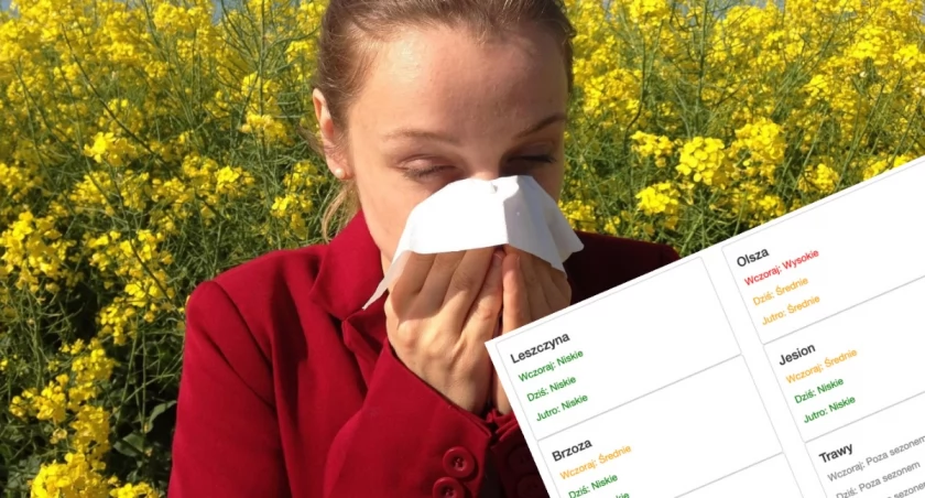 Zakład Klimatologii i Ochrony Atmosfery UWr spieszy z informacjami o stężeniach alergennych ziaren pyłku roślin / fot. pixabay/mat. UWr 