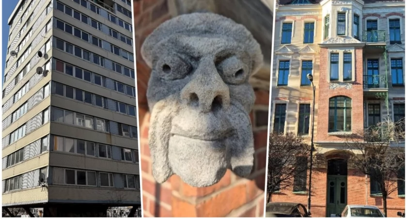 fot. materiały prasowe