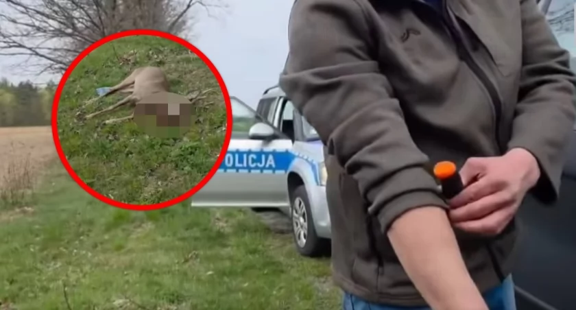 fot. Łukasz Litweka FB/screen 