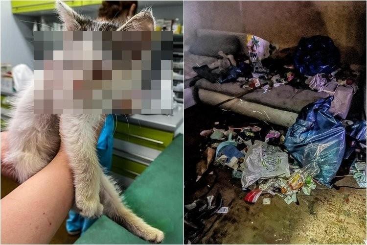fot. Dolnośląska Straż ds. Zwierząt