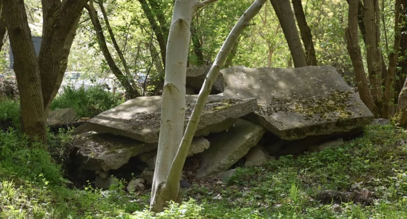 Kiedyś było tu składowisko betonowych płyt, teraz powstaje park z prawdziwego zdarzenia / fot. Kinga Mierzwiak