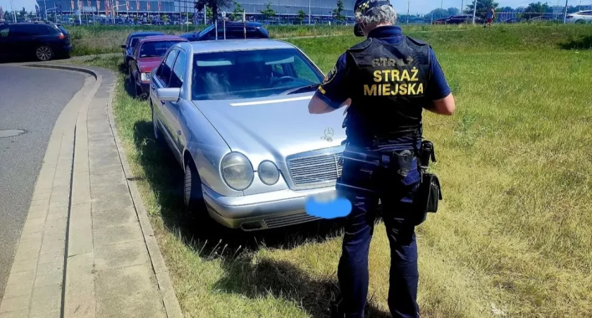 Interwencja straży miejskiej we Wrocławiu / fot. Straż Miejska Wrocław 