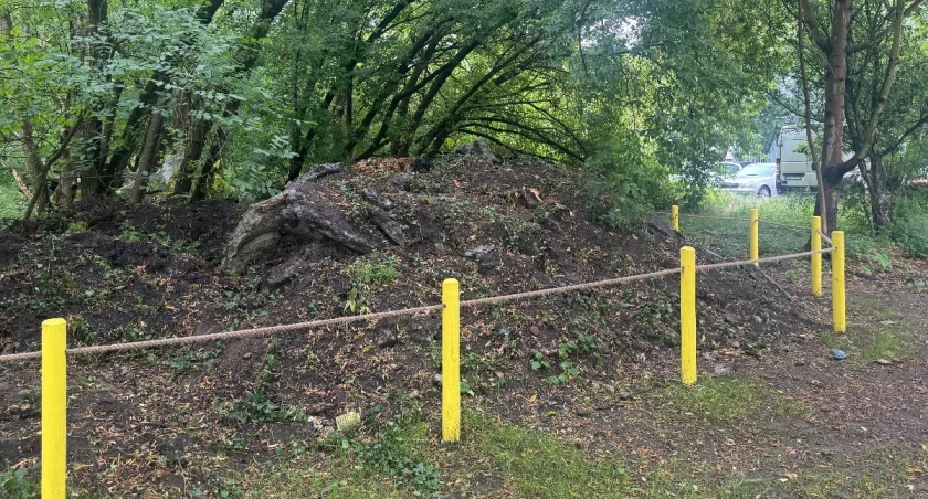 Park Idzikowskiego / fot. Karolina Kozakiewicz 