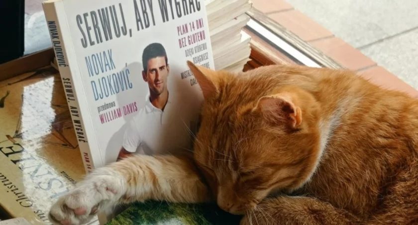 Antykwariat Naukowy. Na zdjęciu Nutka / fot. Karolina Kozakiewicz 