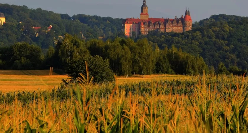 Dolny Śląsk