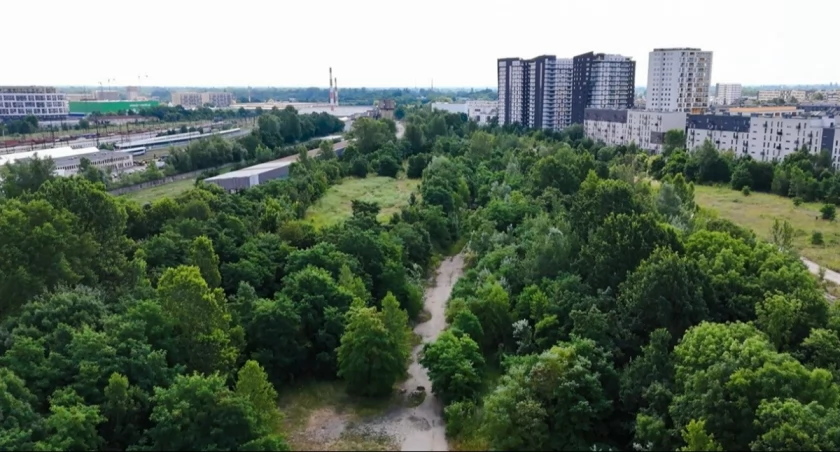 fot. Biuro Prasowe UM Wrocław