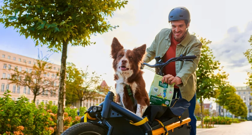 Wakacyjne spacery i wycieczki z psem – smakołyki Green Petfood Loopies