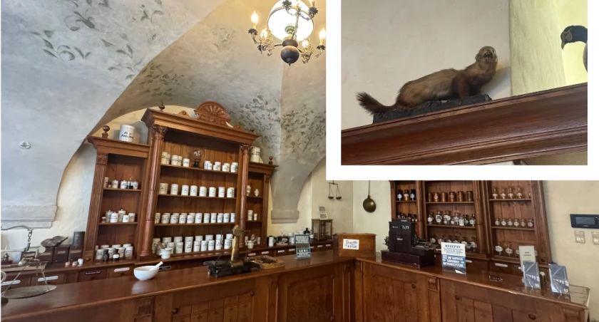 Muzeum Farmacji we Wrocławiu / fot. Karolina Kozakiewicz