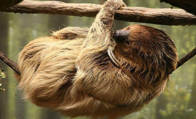 ZOO Wrocław