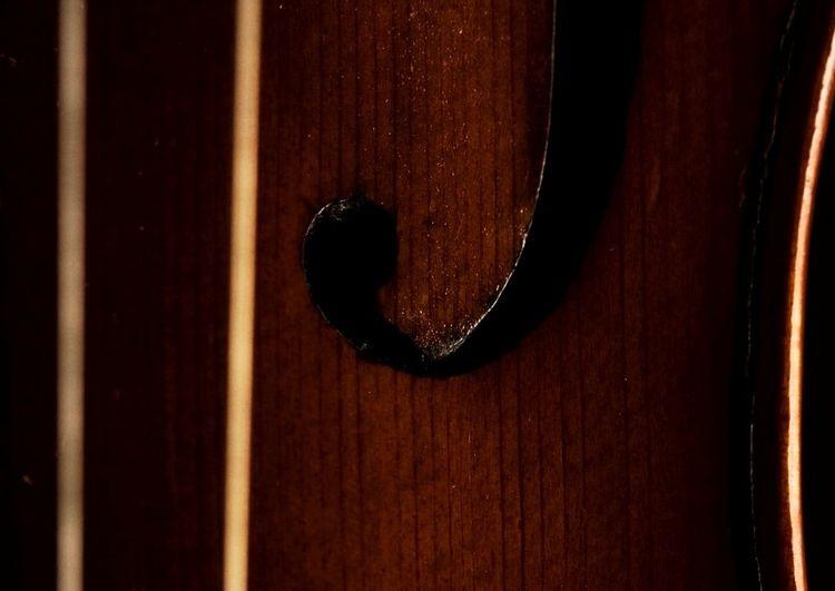 fot. Łukasz Rajchert/NFM