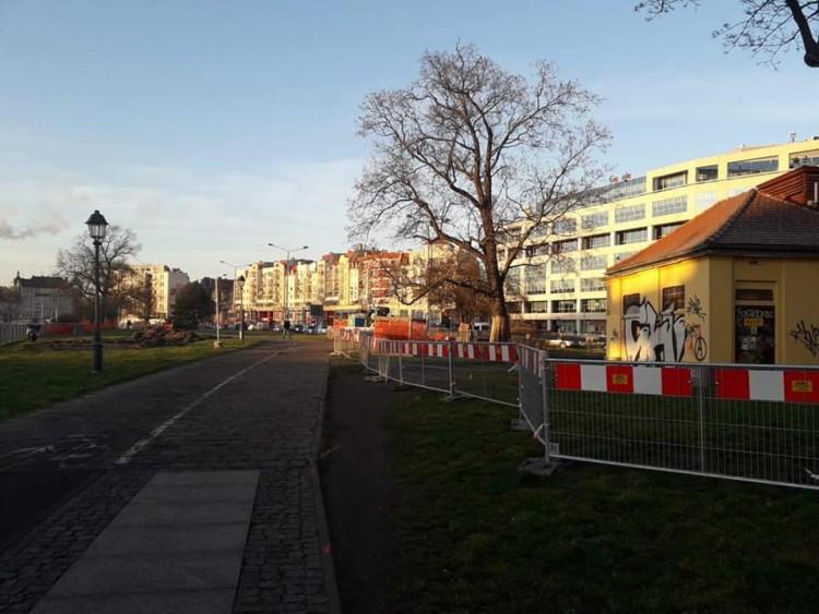 fot. UM Wrocław