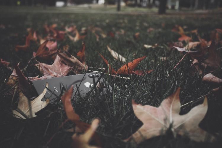fot. unsplash.com