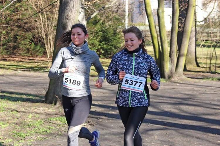 fot. Stowarzyszenie Pro-Run Wrocław