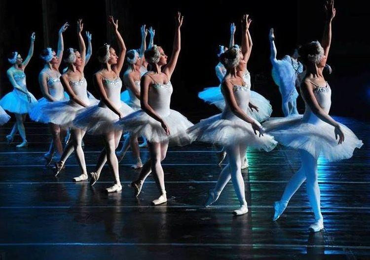 fot. Materiały prasowe
