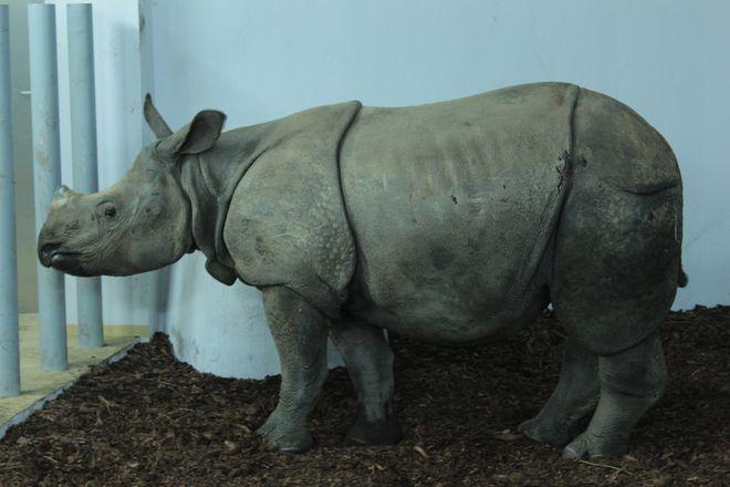 mat. ZOO