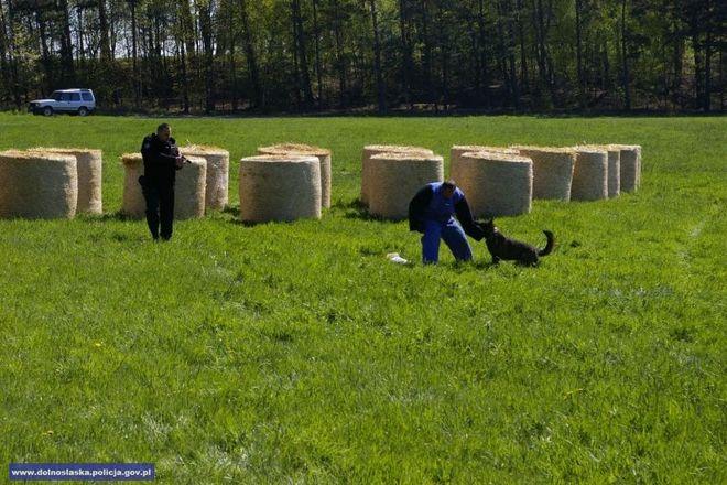 mat. dolnośląskiej policji