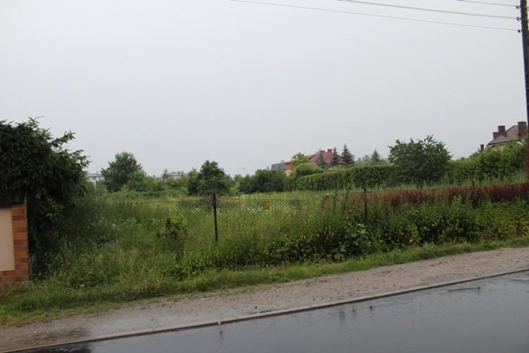 fot. Paweł Prochowski