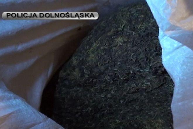 mat. policji