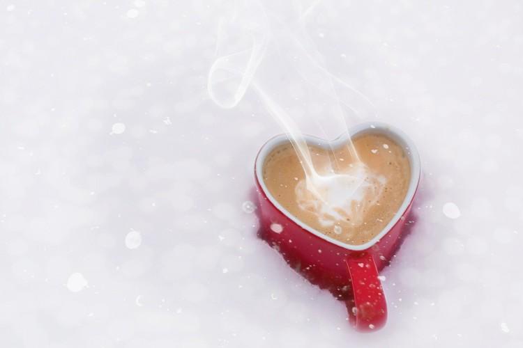 fot. pixabay.com