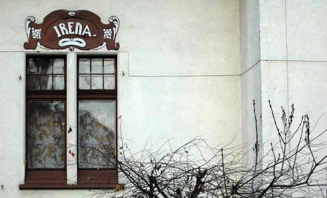materiały organizatora