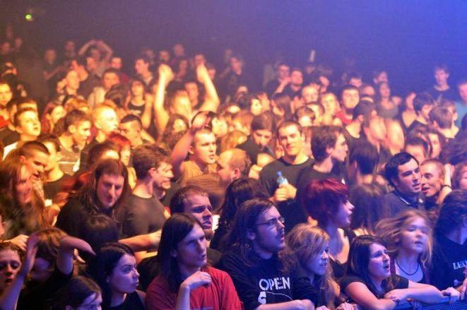www.punkyreggaelive.art.pl