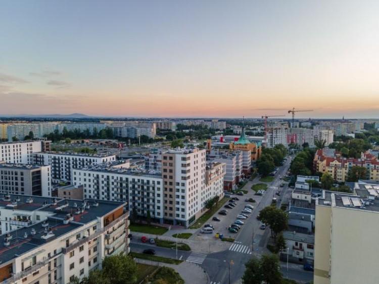 fot. Maciej Lulko/AP Szczepaniak