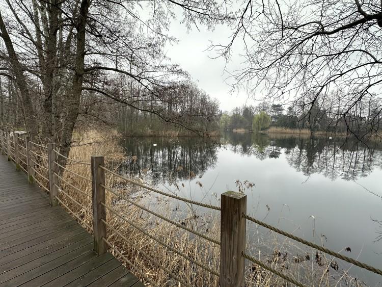 fot. Askaniusz Polcyn