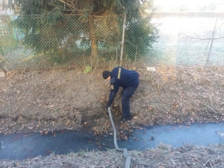 fot. mat. Straży Miejskiej Wrocławia