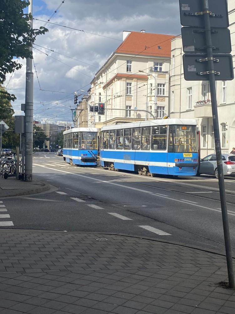 fot. Ola Wiśniewska