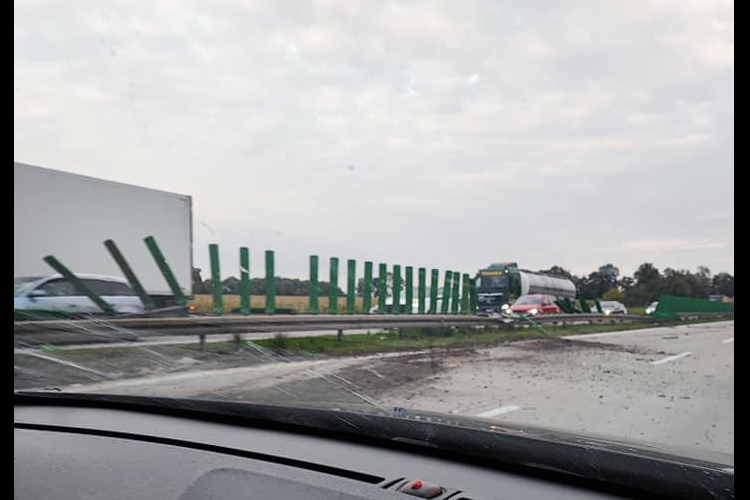 fot. Czytelniczka
