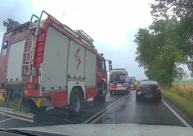 fot. Zdjęcie nadesłane przez czytelnika