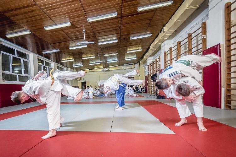 fot. Judo Tigers