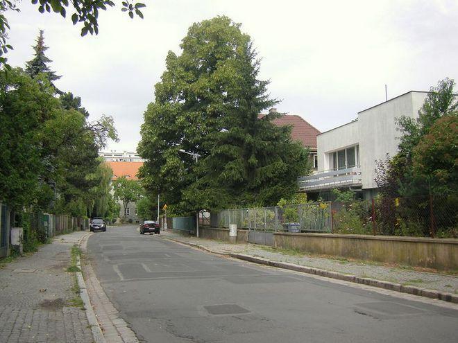archiwum