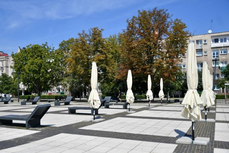 fot. UM Wrocław