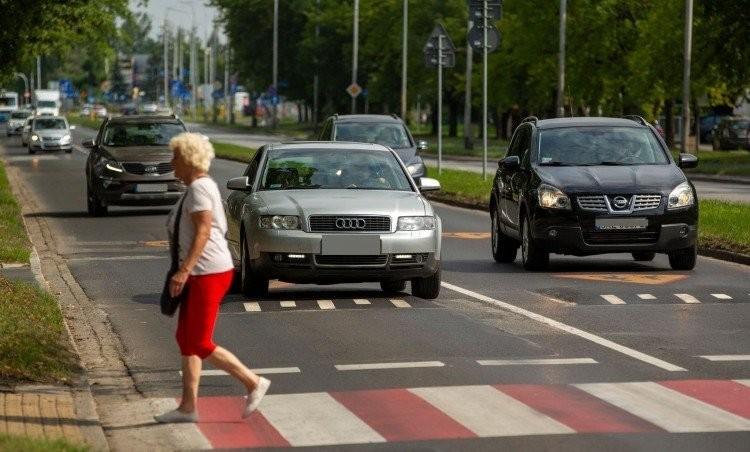 fot. UM Wrocław
