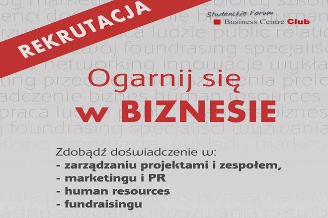 materiały organizatora 