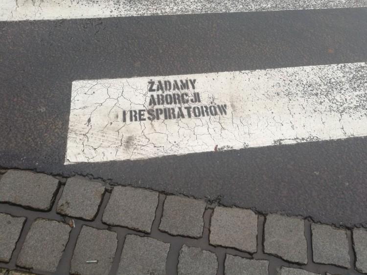 fot. mh